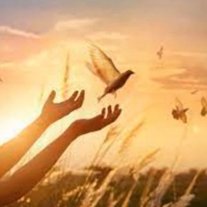 HOPEFULNESS - Piano Score - v2025 - Simplified Piano L1 - Em - Hard - 2p
